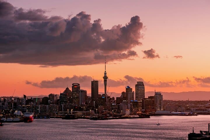 Auckland Urban Charm Half-Day Tour: Mount Eden, Wintergardens & Mission Bay photo 2
