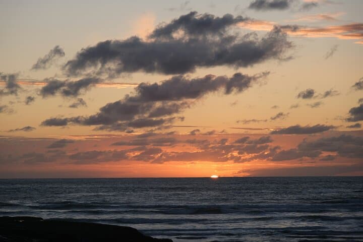 Auckland Urban Charm Half-Day Tour: Mount Eden, Wintergardens & Mission Bay photo 6