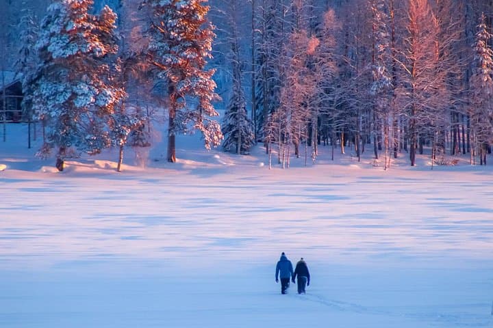 Snowmobile Sleigh & Ice Fishing on Lake Marrasjärvi — Rovaniemi Winter Day Tour photo 4