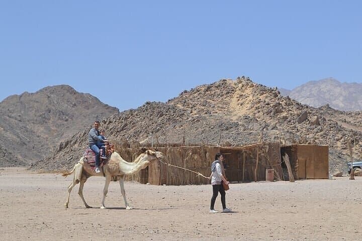 Two-Hour Camel Ride Through the Desert Near Sharm El Sheikh photo 6