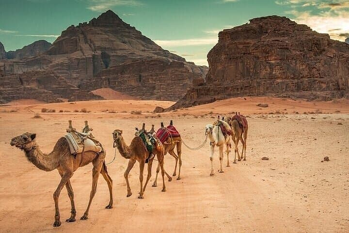 Camel Ride in Sharm El Sheikh: 1-Hour Desert Experience with Bedouin Guides photo 3