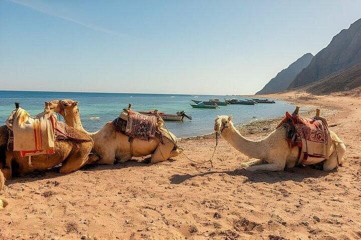 Blue Hole Canyon ATV, Camel Ride & Snorkeling Day Trip from Sharm El Sheikh photo 4