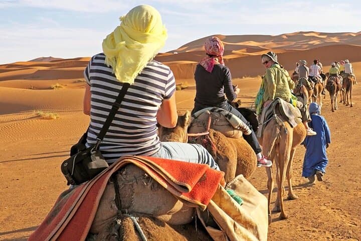 Red Dunes Desert Safari Dubai — Dune Bashing, Camel Rides & BBQ Under the Stars photo 2