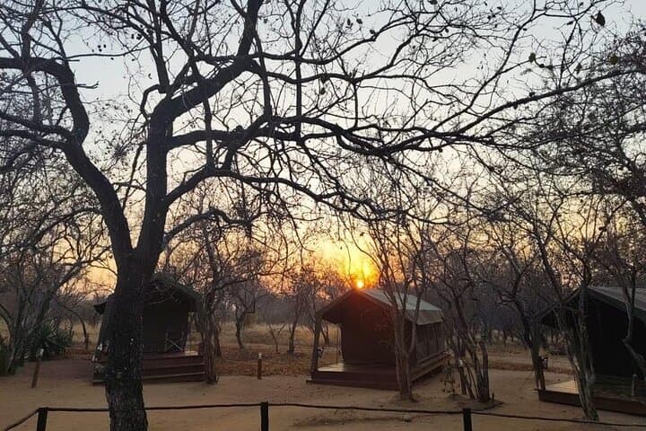 3-Day Glamping Safari in Kruger National Park — Affordable Big Five Experience photo 2