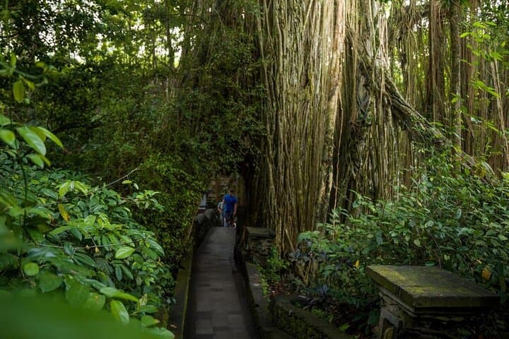 Ubud Purification Ritual and Instagram Highlights Tour photo 6