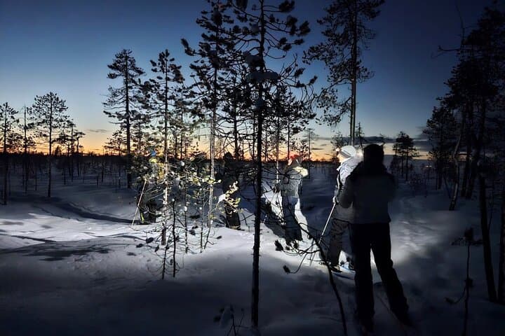 Sliding Ski Adventure in Pyhä–Luosto National Park: Private Guided Arctic Backcountry Tour photo 2