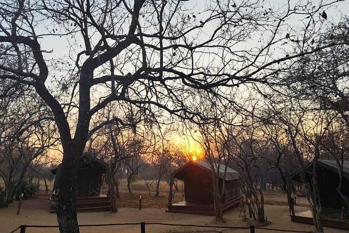 5-Day Kruger Glamping Safari: Big Five & Panorama Route from Johannesburg photo 2