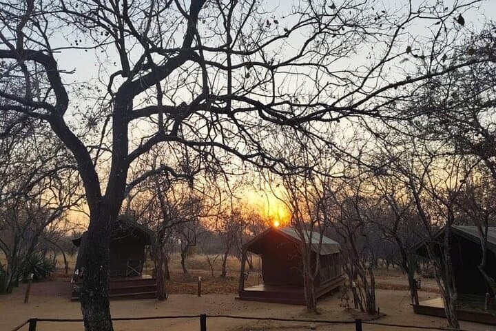 6-Day Kruger Glamping Safari — Big Five, Panorama Route & Blyde Canyon
