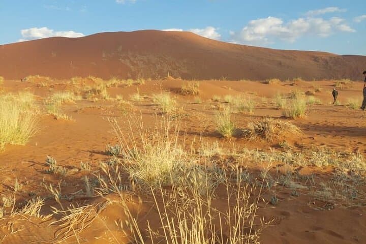 Sossusvlei and Moon Valley: 2-Day Budget Combo from Swakopmund photo 6