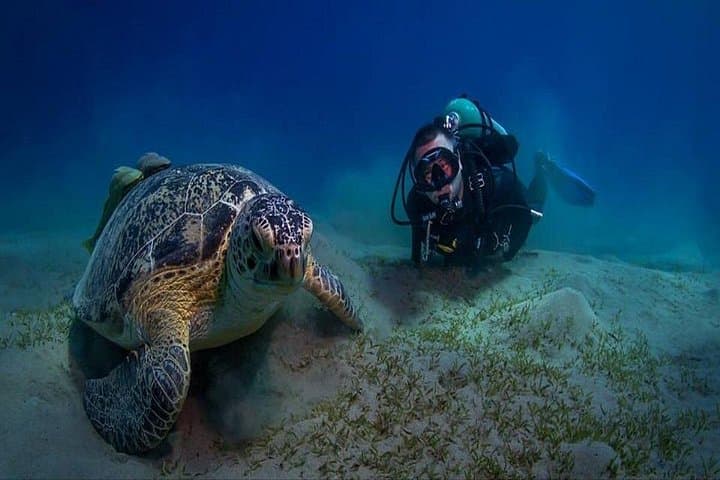 Abu Dabbab Dugong Bay Snorkeling Tour — Marsa Alam Red Sea photo 1