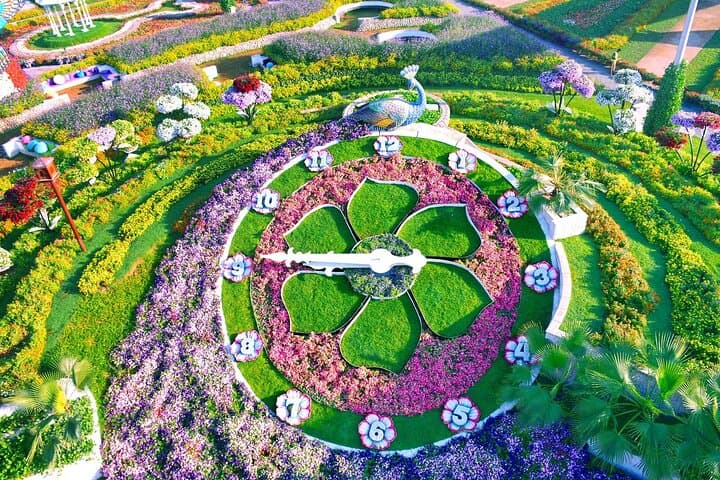 Dubai Miracle Garden: Visiting the World's Largest Floral Display photo 6