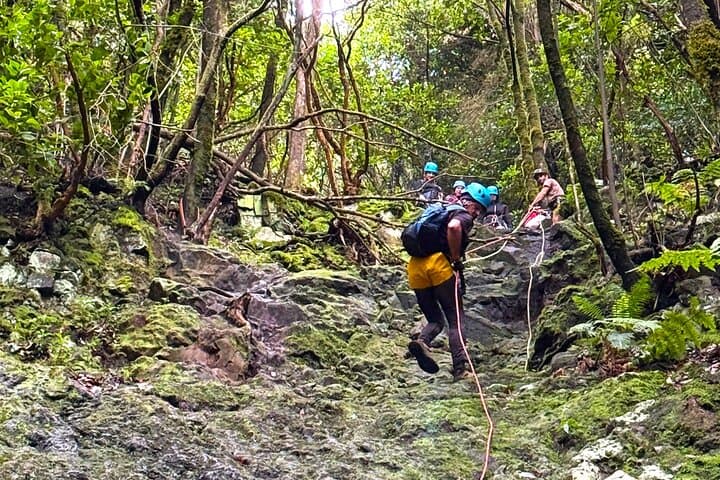 Anaga Canyoning Tenerife: Guided Rappels Through Laurel-Forest Gorges photo 4