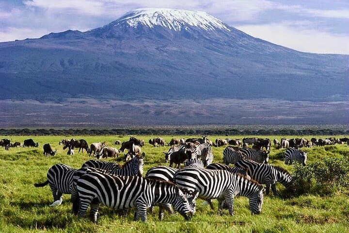 3-Day Amboseli Safari: Elephants, Kilimanjaro Views & Guided Game Drives from Nairobi photo 2
