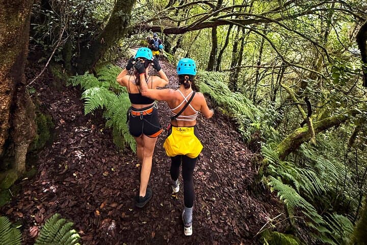 Anaga Canyoning Tenerife: Guided Rappels Through Laurel-Forest Gorges photo 2