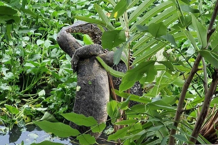 Bangkok Full-Day: Jurassic World Experience, Lizard Cafe & River Club photo 5