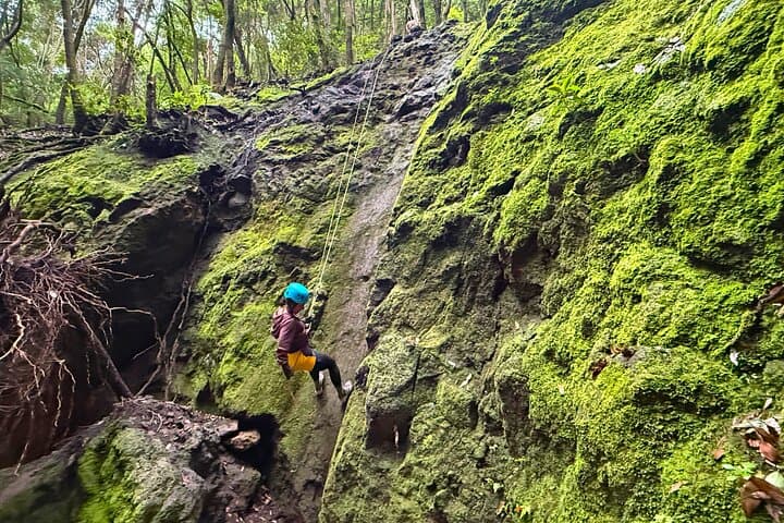 Anaga Canyoning Tenerife: Guided Rappels Through Laurel-Forest Gorges photo 6