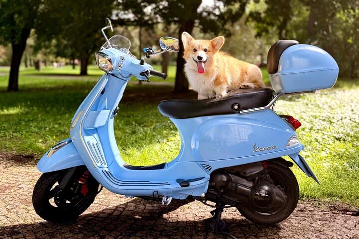 Prague by Vespa: Local Scooter Rental with GPS Routes & Insider Tips