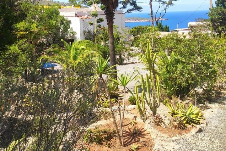 Ibiza Hidden Beaches Tour: Secret North Coast, Graffiti Cliffs & Benirràs Sunset photo 6