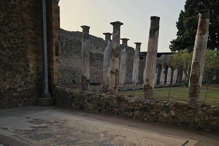 Discover Pompeii: Fast-Access Guided Tour of the Ancient City photo 3