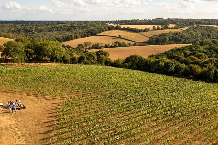Chilterns Blue Line: Boutique Vineyard Wine Tour from Amersham photo 6