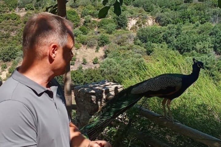 Botanical Garden, Mountain Views & Cretan Culture: Day Tour from Chania photo 2