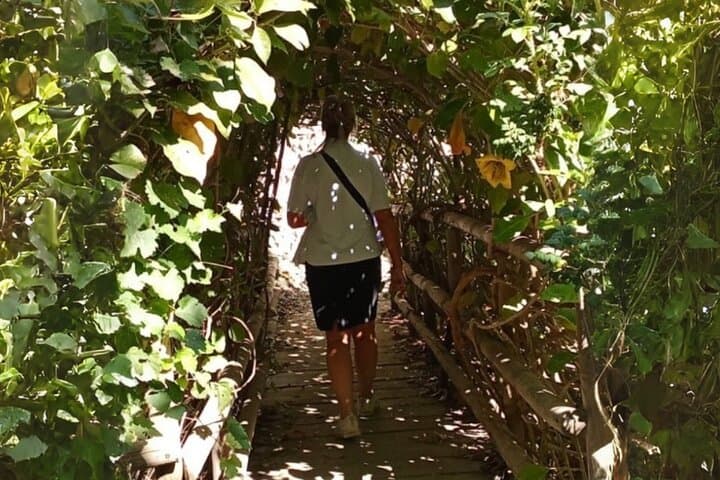 Botanical Garden, Mountain Views & Cretan Culture: Day Tour from Chania photo 4
