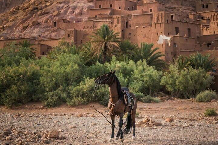 3-Day Sahara Desert Trip with Camel Ride from Marrakech photo 3