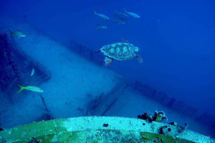 Exploring the USNS General Hoyt S. Vandenberg: Advanced Wreck Diving in Key West photo 4