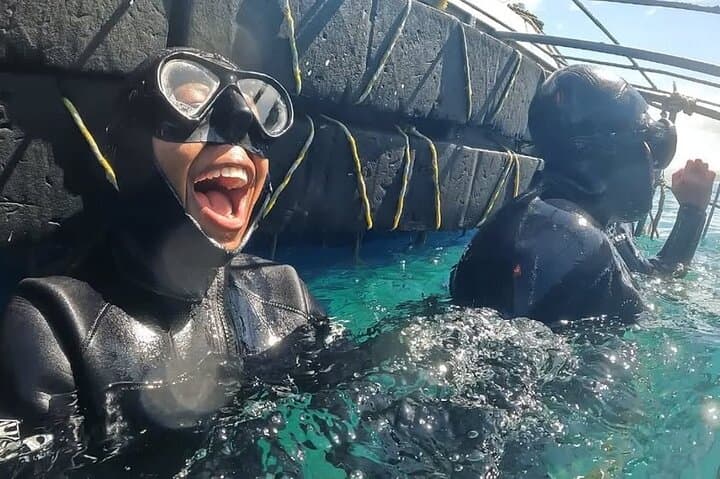 Shark Cage Diving in Gansbaai — Cage Tours & Marine Wildlife Encounters