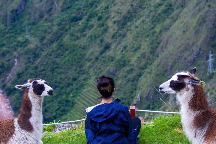Short Inca Trail 2-Day Trek: Sun Gate Sunrise & Wiñay Wayna photo 6