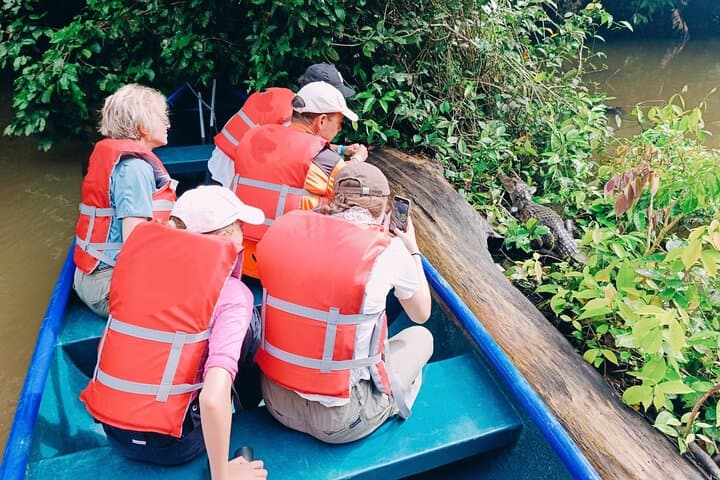 Tortuguero Mystical Pack: Canoe, Day & Night Walk Wildlife Combo photo 2