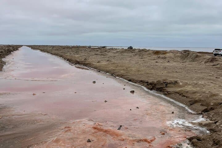 Sandwich Harbour 4x4 & Pelican Point Wildlife Tours from Walvis Bay photo 3