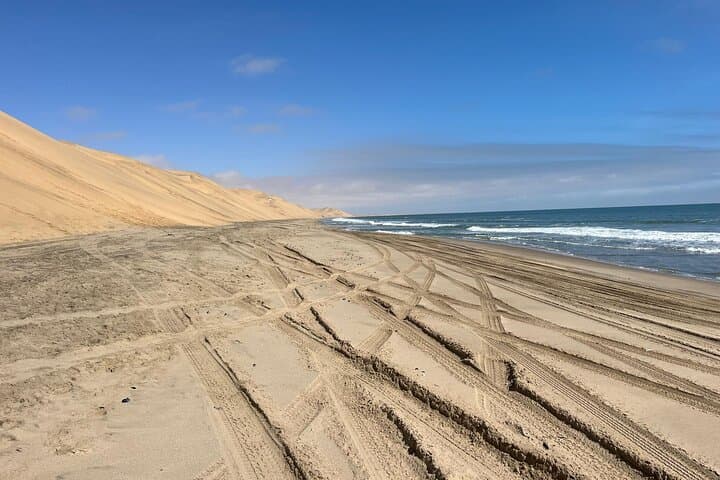 Sandwich Harbour 4x4 & Pelican Point Wildlife Tours from Walvis Bay photo 5