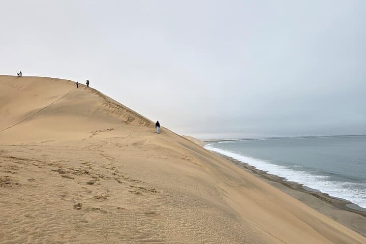 Sandwich Harbour 4x4 & Pelican Point Wildlife Tours from Walvis Bay photo 6