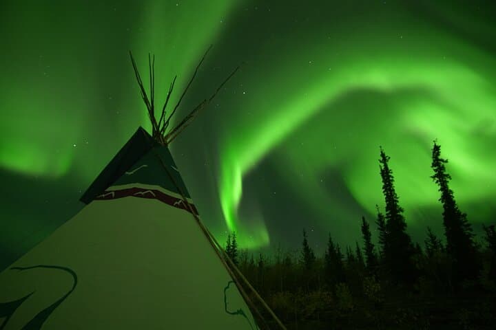 Whitehorse Northern Lights & Yukon Wildlife Tour: AuroraCentre Evenings and Wildlife Preserve photo 6