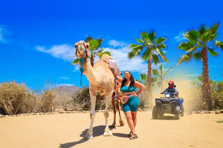 Los Cabos Combo: ATV, Camel Ride & Tequila Tasting Adventure