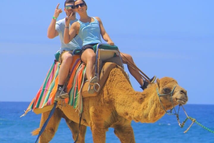 Camel Ride Adventure on Los Cabos Beach — Safari & Tequila Tasting