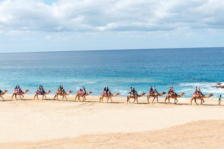 Camel Ride in Los Cabos: Desert-to-Beach Safari with Tequila Tasting photo 5