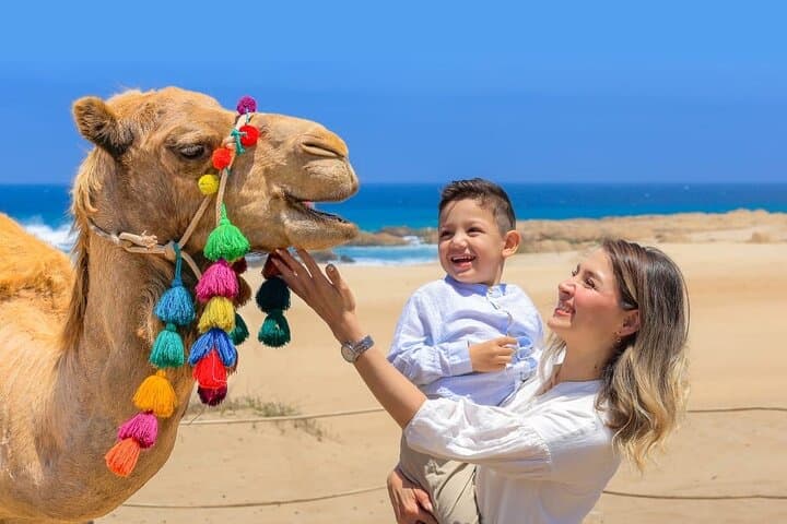 Camel Ride Adventure on Los Cabos Beach — Safari & Tequila Tasting photo 6