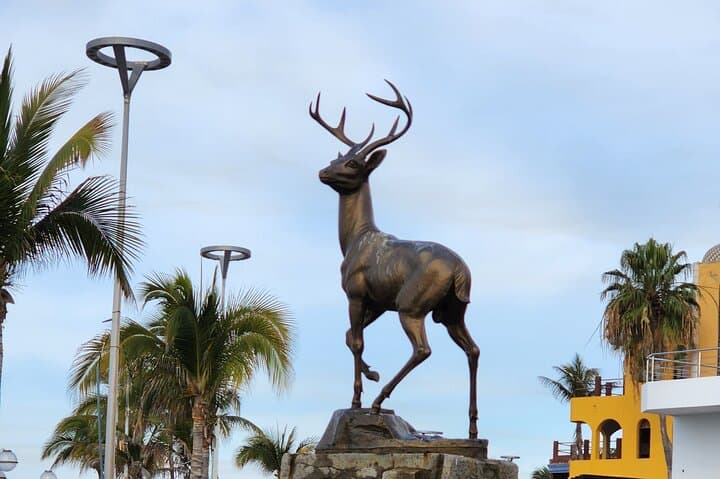 Private Mazatlán City Tour: Cathedral, Market & Ocean Views photo 5