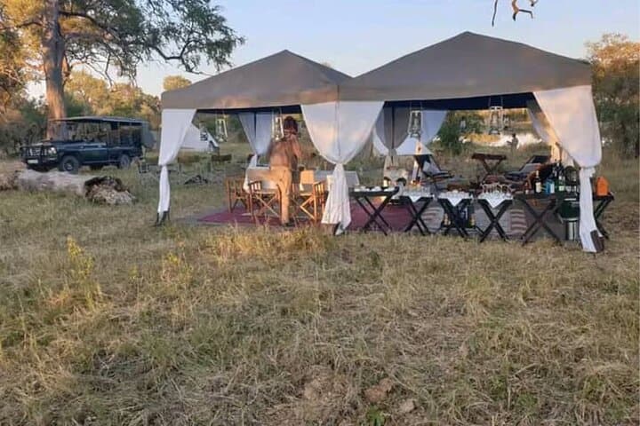 4-Day Botswana Safari: Chobe River & Okavango Delta Wildlife Adventure photo 5