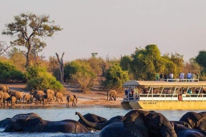 4-Day Botswana Safari: Chobe River & Okavango Delta Wildlife Adventure photo 2