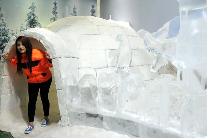 Inside Antalya Aquarium & Fun Park: Private All-Inclusive Tour with Hotel Pickup photo 3