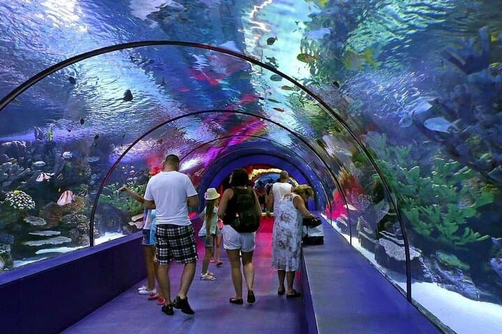 Inside Antalya Aquarium & Fun Park: Private All-Inclusive Tour with Hotel Pickup photo 6
