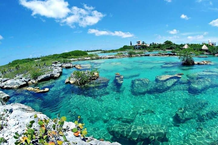 Mayan Adventure: Snorkel Yal-Kú Cove, Open Cenote & Underground River in the Riviera Maya photo 1