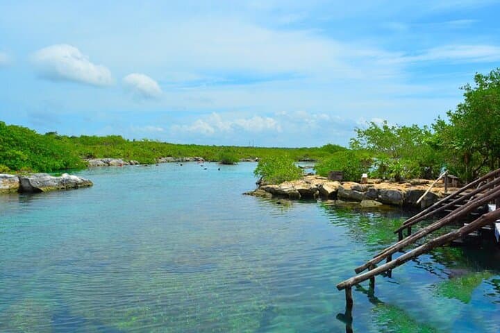 Mayan Adventure: Snorkel Yal-Kú Cove, Open Cenote & Underground River in the Riviera Maya photo 2