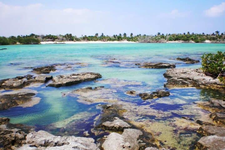 Mayan Adventure: Snorkel Yal-Kú Cove, Open Cenote & Underground River in the Riviera Maya photo 3