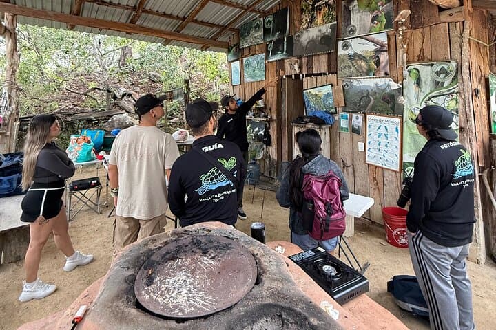 Macaw Sanctuary Observation Near Puerto Vallarta — Wild Guacamayas in the Sierra photo 2