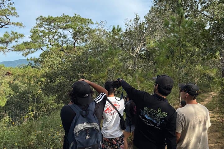 Macaw Sanctuary Observation Near Puerto Vallarta — Wild Guacamayas in the Sierra photo 4