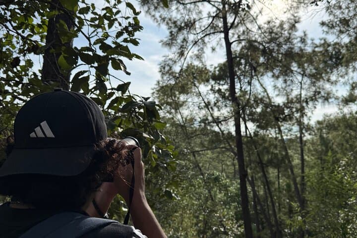 Macaw Sanctuary Observation Near Puerto Vallarta — Wild Guacamayas in the Sierra photo 6